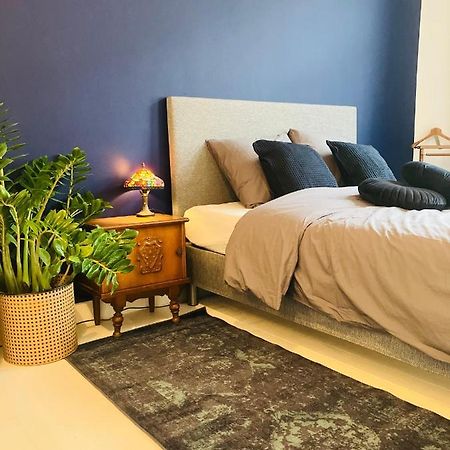 Bnb Suikernest أنتويرب المظهر الخارجي الصورة
