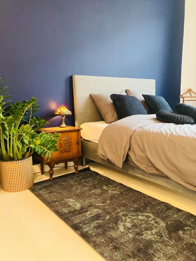 Bnb Suikernest أنتويرب المظهر الخارجي الصورة